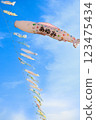 鯉魚飄帶游泳在藍天 123475434