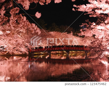 Cherry blossoms at night in Hirosaki Castle Park 123475462