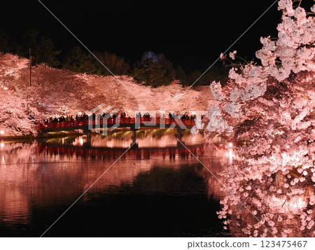弘前城公園的夜櫻 弘前城公園的夜櫻 123475467