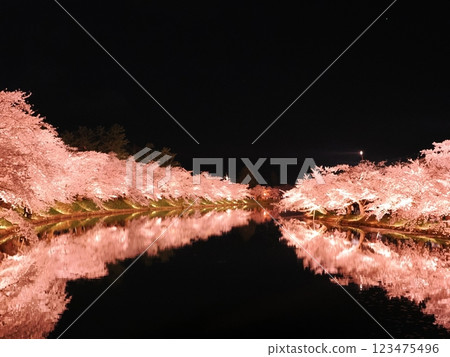 Hirosaki Cherry Blossom Festival at Night 123475496