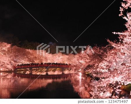 Hirosaki Cherry Blossom Festival at Night 123475497