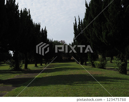 A view of the golf course from the golf course, greenery, sky and refreshing time 123475788