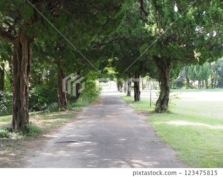 A view of the golf course from the golf course, greenery, sky and refreshing time 123475815