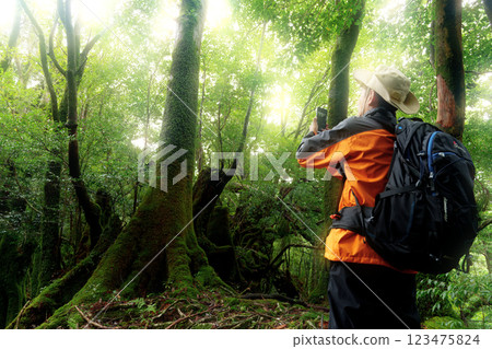 Back view of a trekker taking a photo of the forest with his smartphone Back view of a trekker taking a photo of the forest with his smartphone 123475824