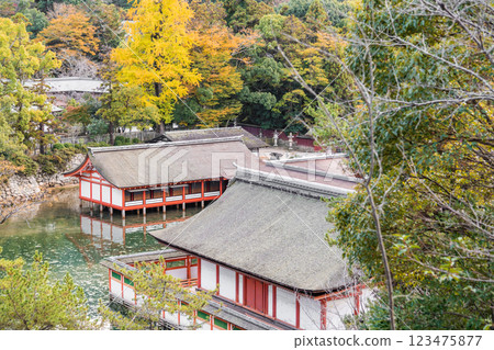 [Itsukushima Shrine as seen from Toyokuni Shrine, Miyajima, Hiroshima] 123475877