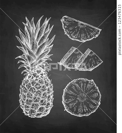 Pineapple chalk sketches 123476315