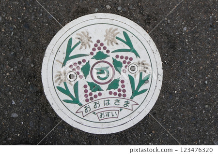 A manhole cover with a design of the edelweiss of Mt. Hayachine on it in Osako, Hanamaki City, Iwate Prefecture A manhole cover with a design of the edelweiss of Mt. Hayachine on it in Osako, Hanamaki City, Iwate Prefecture 123476320