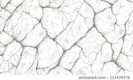 乾燥的土地紋理 乾燥的土地紋理 123476376