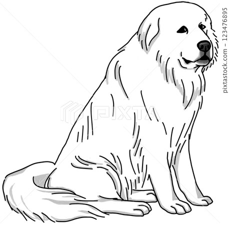 Great Pyrenees black and white transparent background dog illustration 123476895
