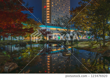 濱松市濱松城公園的紅葉和濱松康科德酒店的夜景（靜岡縣） 123476920