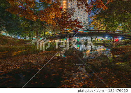 濱松市濱松城公園的紅葉和濱松康科德酒店的夜景(靜岡縣) 濱松市濱松城公園的紅葉和濱松康科德酒店的夜景(靜岡縣) 123476960