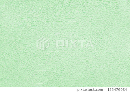 Texture of genuine leather or artificial synthetic leatherette pastel green color background Texture of genuine leather or artificial synthetic leatherette pastel green color background 123476984