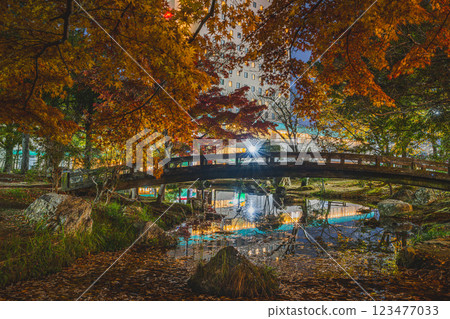 濱松市濱松城公園的紅葉和濱松康科德酒店的夜景（靜岡縣） 123477033