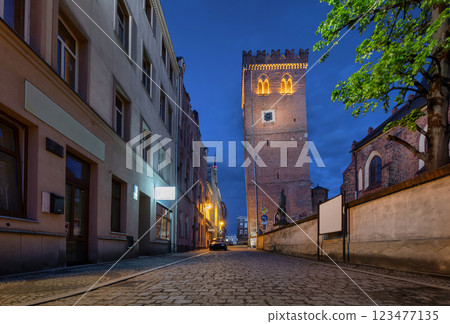 Zabkowice Slaskie, Poland. View of Leaning Tower (Krzywa Wieza) 123477135