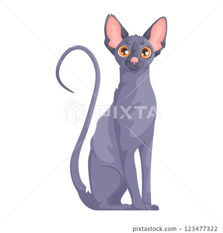 Vector illustration of a tall, gray hairless Sphynx cat with orange eyes, large ears, and a long curled tail on a white background. Vector illustration of a tall, gray hairless Sphynx cat with orange eyes, large ears, and a long curled tail on a white background. 123477322