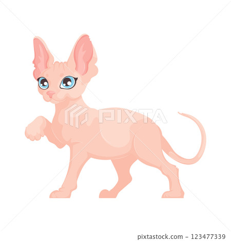 Stylized vector illustration of a pink hairless cat with blue eyes, mid-step, on a white background. Minimalist design. Stylized vector illustration of a pink hairless cat with blue eyes, mid-step, on a white background. Minimalist design. 123477339