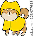 Shiba Inu Raincoat 123477658