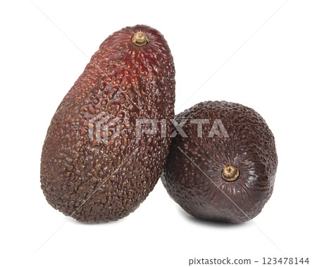 Avocado fruit exotic isolated on the white background Avocado fruit exotic isolated on the white background 123478144