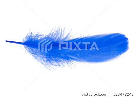 Bird feather elegant blue isolated on the white background 123478242