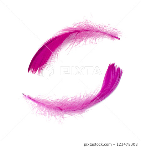 Elegant fluffy bird feather pink isolated on the white background 123478308