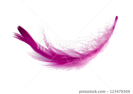 Elegant fluffy bird feather pink isolated on the white background Elegant fluffy bird feather pink isolated on the white background 123478309