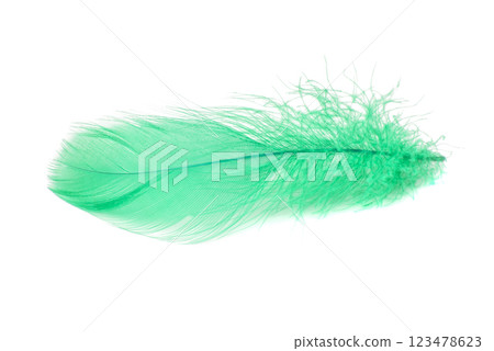 Elegant fluffy feather colorful isolated on the white background Elegant fluffy feather colorful isolated on the white background 123478623