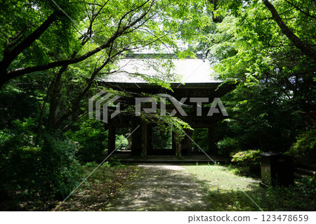 Oita City Yusuhara Hachimangu 123478659