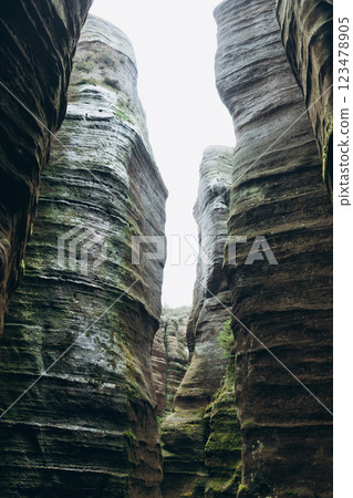Rock city in Adrspach, Czech Republic. Texture of sandstone, The National park Adrspach Teplice rocks. High quality photo. Nature background 123478905
