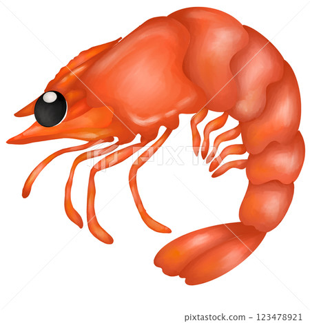 Shrimp  123478921