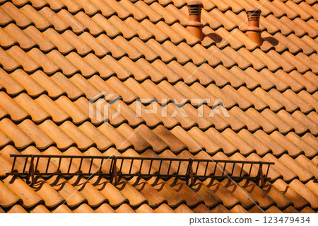 Tiles roof with snow guards safety. 123479434