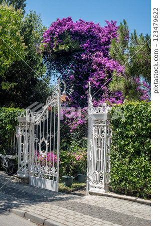 Beautiful gated entrance with vibrant purple bougainvillea in a sunny residential area surrounded by greenery Beautiful gated entrance with vibrant purple bougainvillea in a sunny residential area surrounded by greenery 123479622