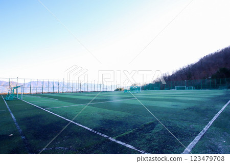 Soccer field. Artificial grass soccer field. 123479708