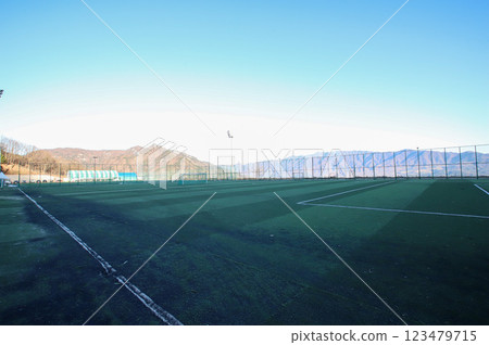 Soccer field. Artificial grass soccer field. 123479715