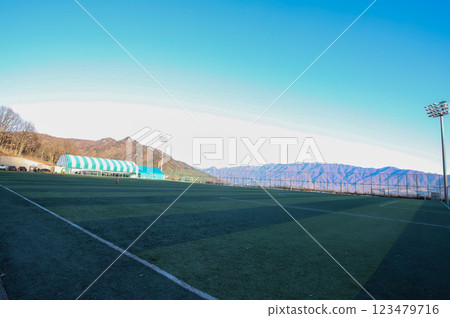 Soccer field. Artificial grass soccer field. 123479716