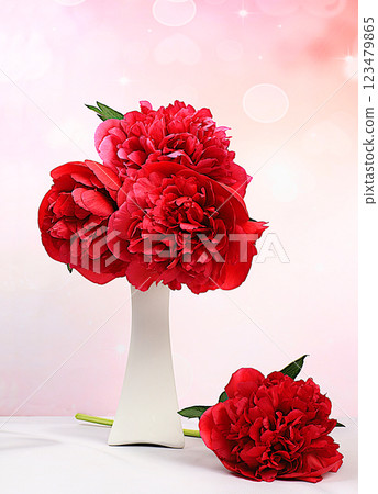 Beautiful burgundy live peonies in elegant vase, gift for beloved, abstract flower arrangement for holiday card. Design template and screen background. Spring greeting concept Beautiful burgundy live peonies in elegant vase, gift for beloved, abstract flower arrangement for holiday card. Design template and screen background. Spring greeting concept 123479865