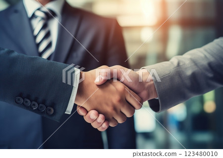 Businessmen making handshake with partner 123480010
