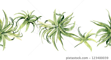 Watercolor aloe vera seamless border 123480039