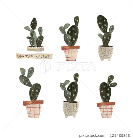 Set of cute cactuses in a pots. Home plant hand drawn illustration watercolor pencil mixed media. Isolated on white background  123480868