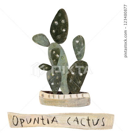 Cute cactus in a pot. Home plant hand drawn illustration watercolor pencil mixed media. Isolated on white background  123480877