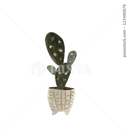 Cute cactus in a pot. Home plant hand drawn illustration watercolor pencil mixed media. Isolated on white background Cute cactus in a pot. Home plant hand drawn illustration watercolor pencil mixed media. Isolated on white background 123480879
