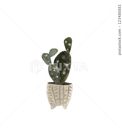Cute cactus in a pot. Home plant hand drawn illustration watercolor pencil mixed media. Isolated on white background  123480881