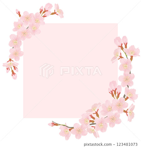 Cherry blossom petal frame Cherry blossom petal frame 123481073