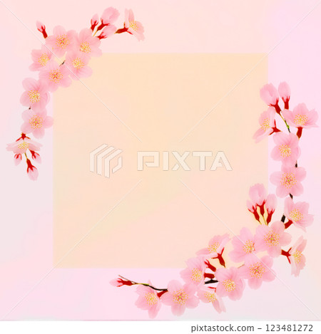 Cherry blossom petal frame 123481272