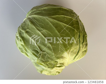 大白菜 大白菜 123481858