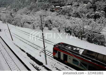 積雪覆蓋的大步危站特快列車 123481881
