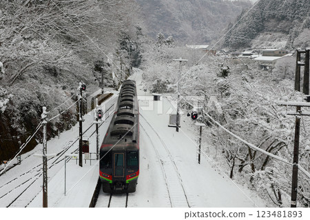 積雪覆蓋的大步危站特快列車 積雪覆蓋的大步危站特快列車 123481893