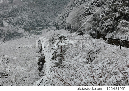 Snow-covered Iya in Tokushima Snow-covered Iya in Tokushima 123481961