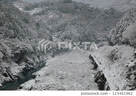 德島縣祖谷市的雪景 123481962