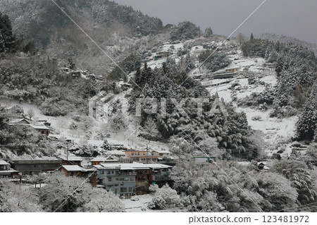德島縣祖谷市的雪景 123481972