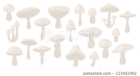 Flat Vector Mushroom Icon Set. Hand Drawn Mushroom Illustrations. Wild Mushroom Collection, Forest Mushroom Elements. Botanical Art, Culinary Designs, Nature Decor. Vector Illustration Flat Vector Mushroom Icon Set. Hand Drawn Mushroom Illustrations. Wild Mushroom Collection, Forest Mushroom Elements. Botanical Art, Culinary Designs, Nature Decor. Vector Illustration 123482402